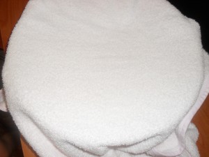 290820115