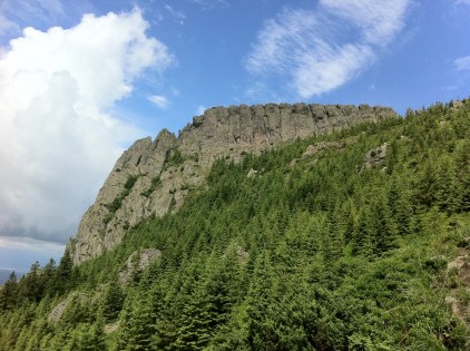 creasta cocosului gutin