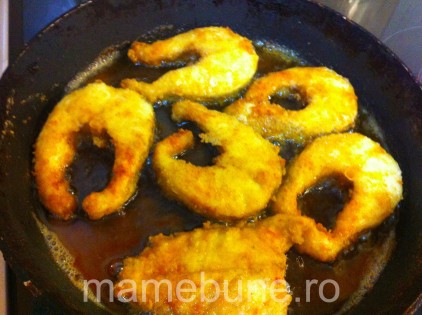 peste_faina_prajit