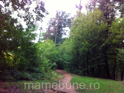 natura_toamna