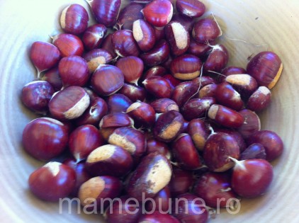 castane_comestibile